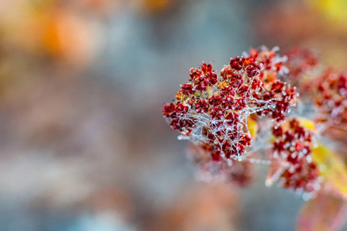 640.webp (5)_副本.jpg